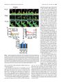 Thumbnail for version as of 06:18, 11 April 2026