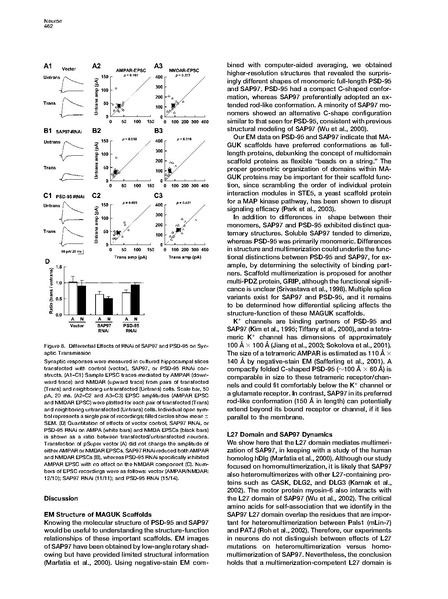 File:20250323102620!Nakagawa Neuron.pdf