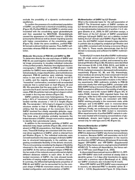 File:20250323102620!Nakagawa Neuron.pdf