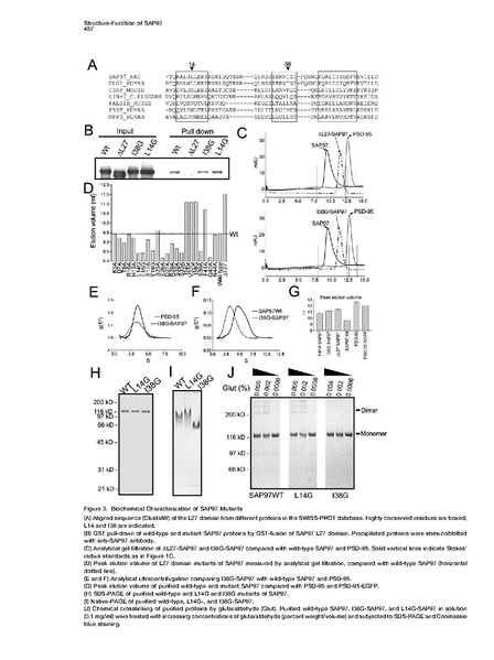 File:20250323102620!Nakagawa Neuron.pdf