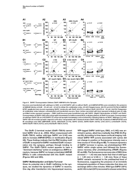 File:20250323102620!Nakagawa Neuron.pdf