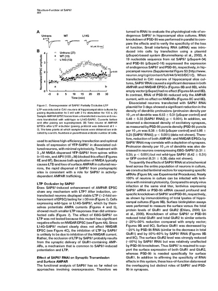File:20250323102620!Nakagawa Neuron.pdf