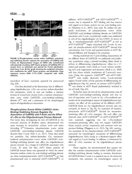 File:Page10-681px-Martinez-Lozada Glia.pdf.jpg
