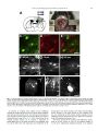 Thumbnail for version as of 06:17, 11 April 2026