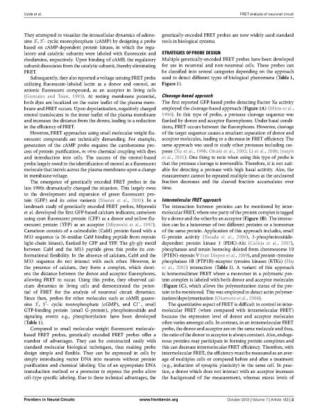 File:Page2-916px-Ueda Front Neural Circuits.pdf.jpg