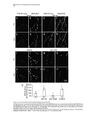 Thumbnail for version as of 06:17, 11 April 2026