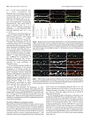 Thumbnail for version as of 06:17, 11 April 2026