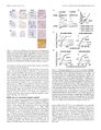 Thumbnail for version as of 06:17, 11 April 2026