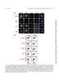 Thumbnail for version as of 06:17, 11 April 2026