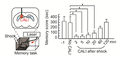 Thumbnail for version as of 06:18, 11 April 2026