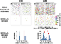 Thumbnail for version as of 06:17, 11 April 2026