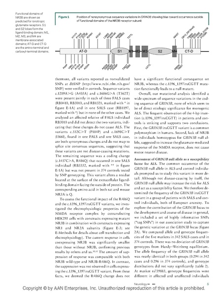 File:20250323102949!Niemann Neurol.pdf