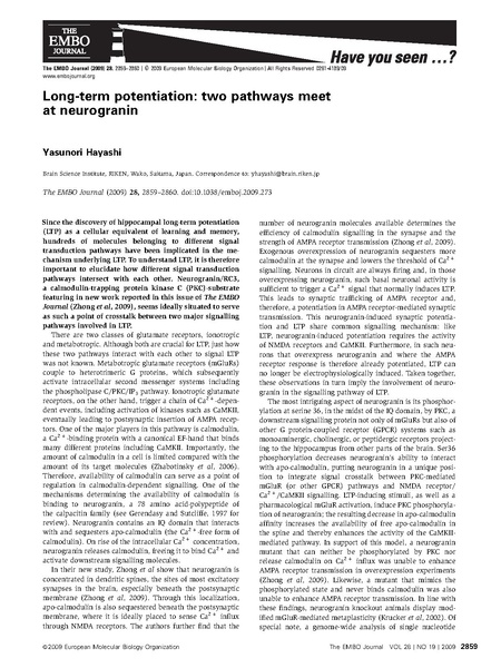 File:Hayashi EMBO.pdf