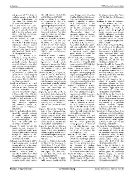 File:Page15-687px-Ueda Front Neural Circuits.pdf.jpg