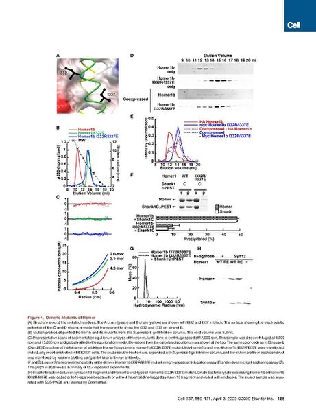 File:Page7-692px-Hayashi cell.pdf.jpg