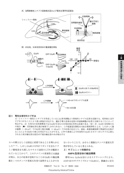 File:20250323102504!Futai Jikkennigaku 2003.pdf
