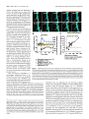 Thumbnail for version as of 06:18, 11 April 2026