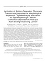 Thumbnail for version as of 06:17, 11 April 2026