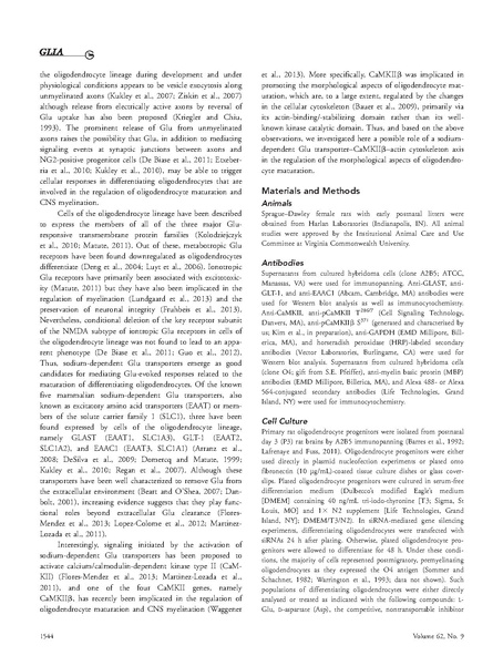 File:20250323102806!Martinez-Lozada Glia.pdf