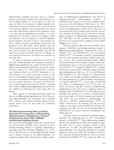 File:20250323102806!Martinez-Lozada Glia.pdf