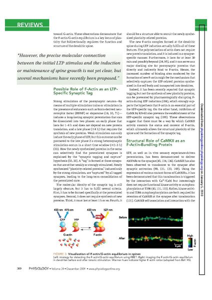 File:Page4-846px-Okamoto Physiol.pdf.jpg
