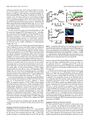 Thumbnail for version as of 06:18, 11 April 2026