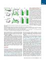 Thumbnail for version as of 06:18, 11 April 2026