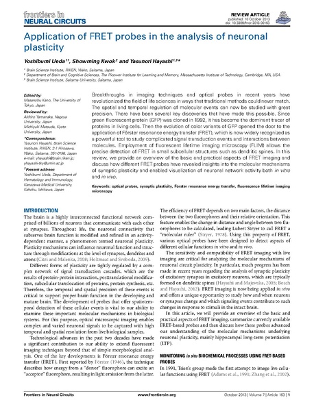 File:Ueda Front Neural Circuits.pdf