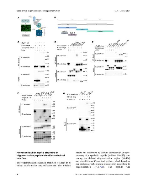 File:Page4-912px-Eriksen FEBS J 2020.pdf.jpg