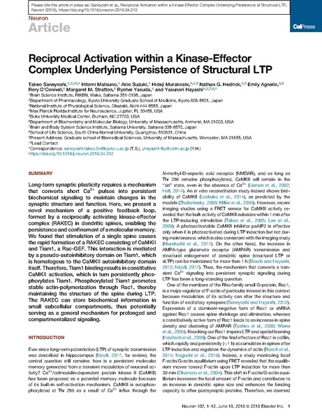 File:20250323102802!Saneyoshi Neuron.pdf