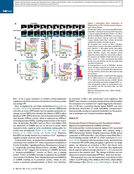 File:20250323102802!Saneyoshi Neuron.pdf