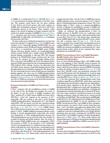 File:20250323102802!Saneyoshi Neuron.pdf