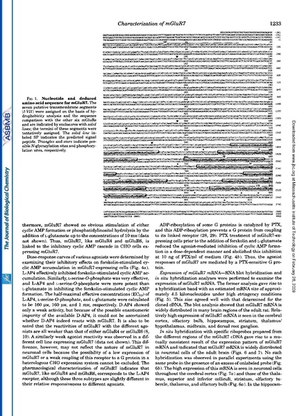 File:20250323102811!Okamoto J Biol Chem.pdf