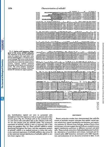 File:20250323102811!Okamoto J Biol Chem.pdf