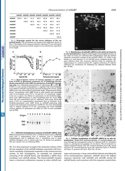File:20250323102811!Okamoto J Biol Chem.pdf