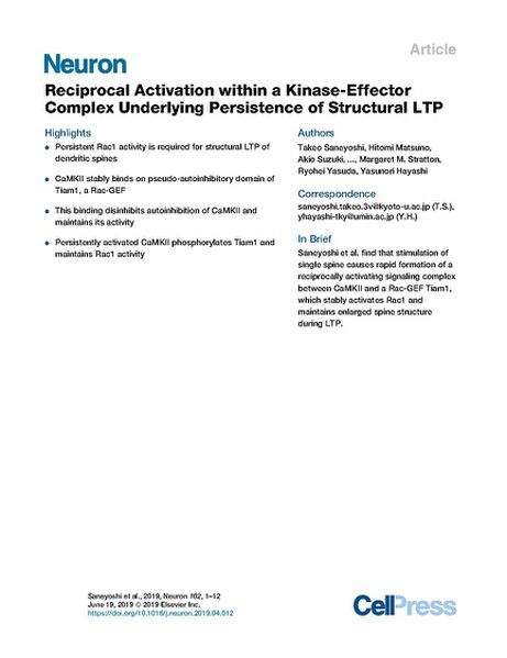 File:Page1-692px-Saneyoshi Neuron.pdf.jpg