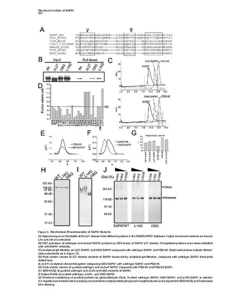 File:Page5-672px-Nakagawa Neuron.pdf.jpg
