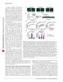Thumbnail for version as of 06:17, 11 April 2026