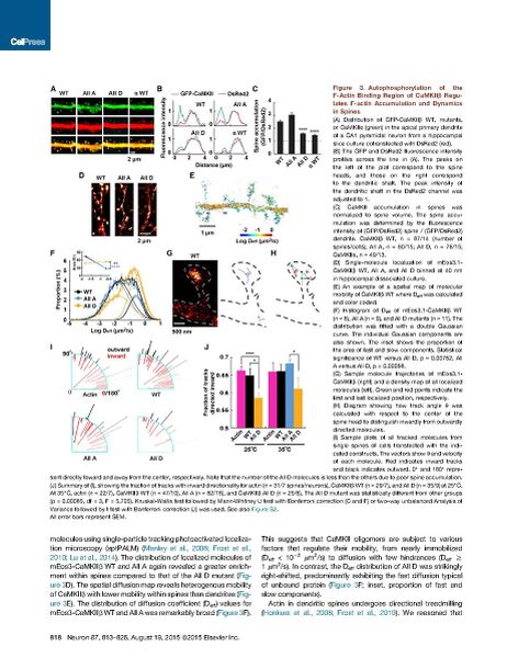 File:Page7-922px-Kim Neuron.pdf.jpg