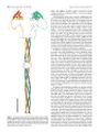 Thumbnail for version as of 06:17, 11 April 2026
