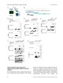 Thumbnail for version as of 06:18, 11 April 2026