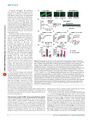Thumbnail for version as of 06:17, 11 April 2026