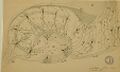 Thumbnail for version as of 06:17, 11 April 2026