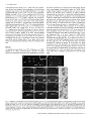 Thumbnail for version as of 06:18, 11 April 2026