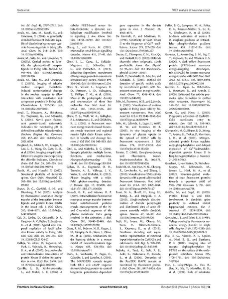 File:Page14-687px-Ueda Front Neural Circuits.pdf.jpg