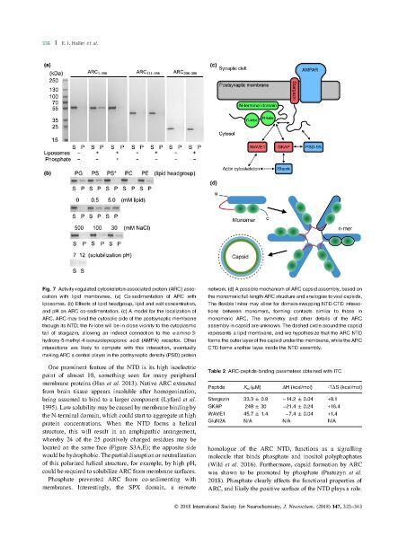 File:Page14-886px-Hallin J Neurochem.pdf.jpg
