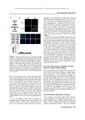 Thumbnail for version as of 06:17, 11 April 2026