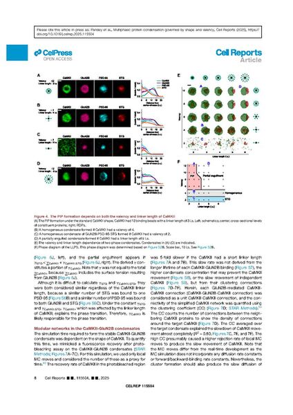 File:Page8-635px-Vikas Cell Rep 2025.pdf.jpg