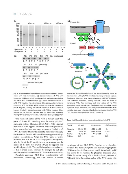 File:20250323102428!Hallin J Neurochem.pdf