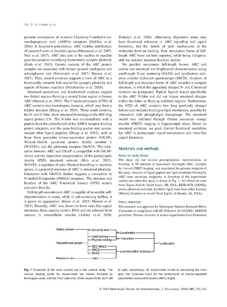 File:20250323102428!Hallin J Neurochem.pdf